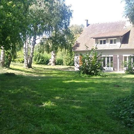Villa - Coulommiers - Parcs Des Felins - Provins Beautheil-Saints Esterno foto