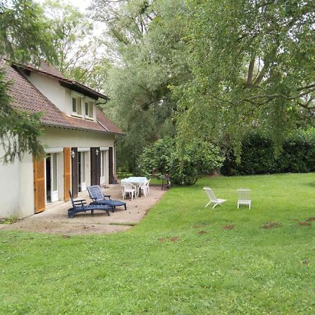 Villa - Coulommiers - Parcs Des Felins - Provins Beautheil-Saints Esterno foto