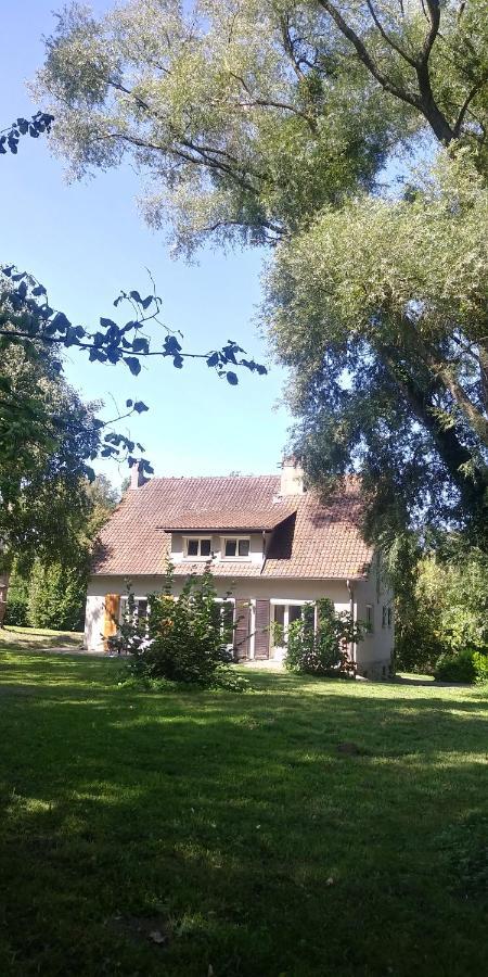 Villa - Coulommiers - Parcs Des Felins - Provins Beautheil-Saints Esterno foto