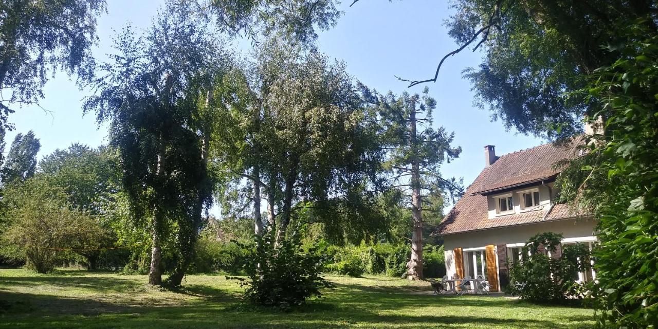 Villa - Coulommiers - Parcs Des Felins - Provins Beautheil-Saints Esterno foto
