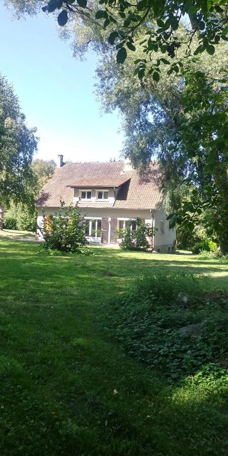 Villa - Coulommiers - Parcs Des Felins - Provins Beautheil-Saints Esterno foto