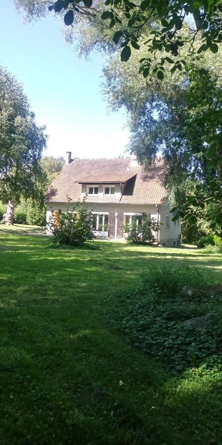 Villa - Coulommiers - Parcs Des Felins - Provins Beautheil-Saints Esterno foto