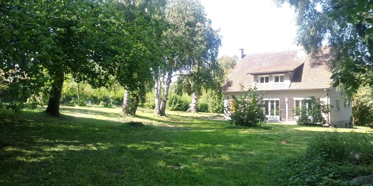 Villa - Coulommiers - Parcs Des Felins - Provins Beautheil-Saints Esterno foto