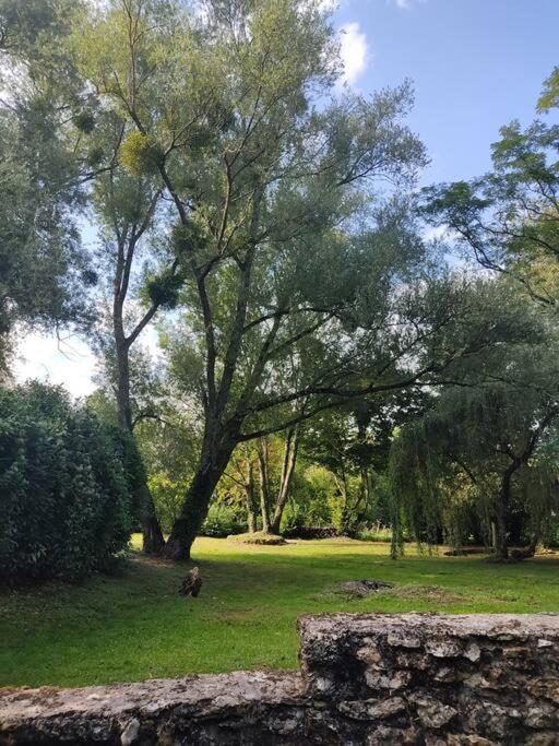Villa - Coulommiers - Parcs Des Felins - Provins Beautheil-Saints Esterno foto